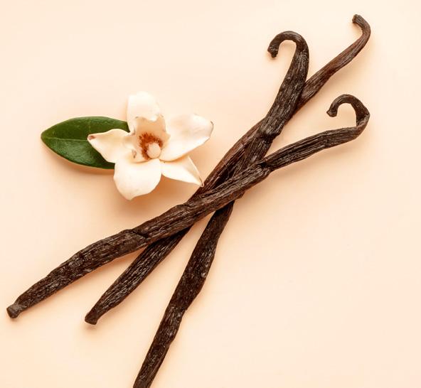 ¿Cómo se fabrica el aroma de vainilla?